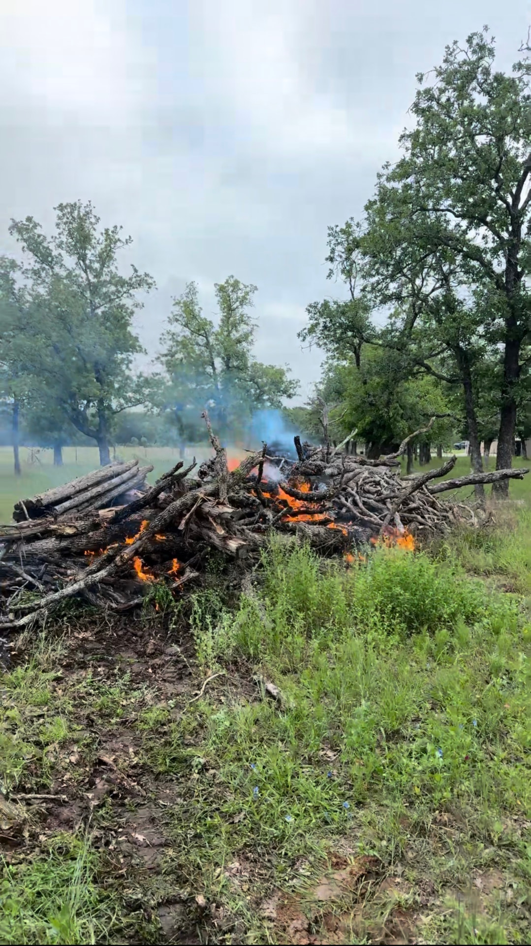 Brush Piling/Burning — Martinez Ranch & Land Services