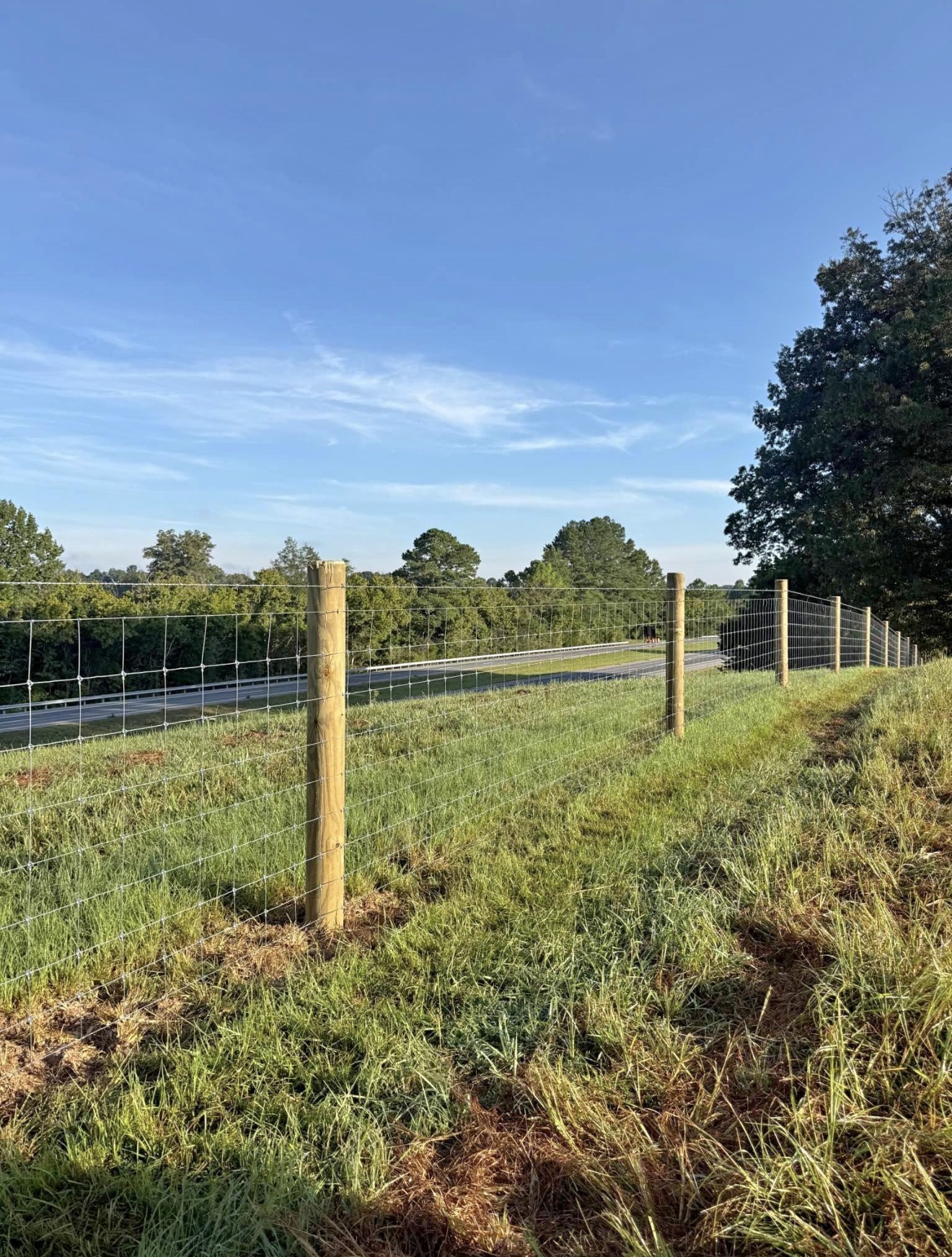 Fence — Martinez Ranch & Land Services