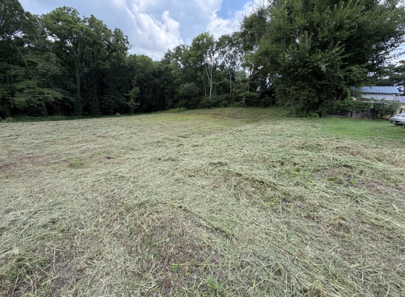 Land/Fenceline/Property Cleanup — Martinez Ranch & Land Services