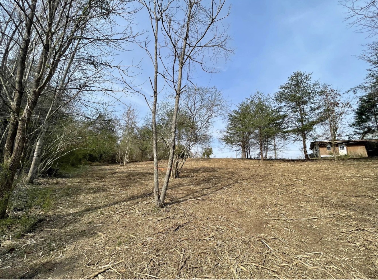 Land/Fenceline/Property Cleanup — Martinez Ranch & Land Services